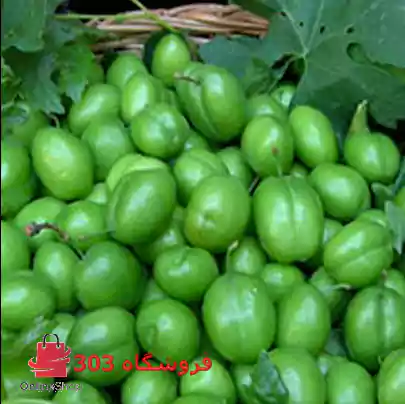 نهال گوجه سبز سردرود
