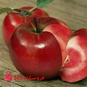 نهال سیب خونی
