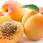 نهال زردالو شاملو