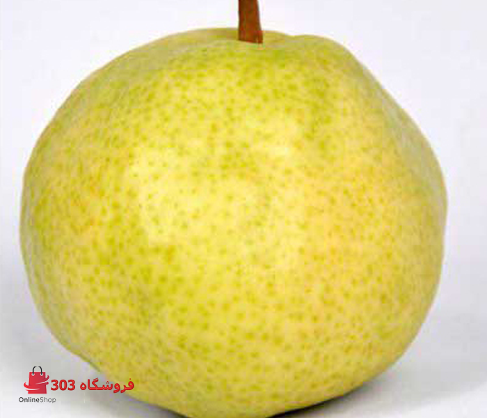 نهال گلابی سیبری