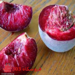 نهال هلو تو سرخ