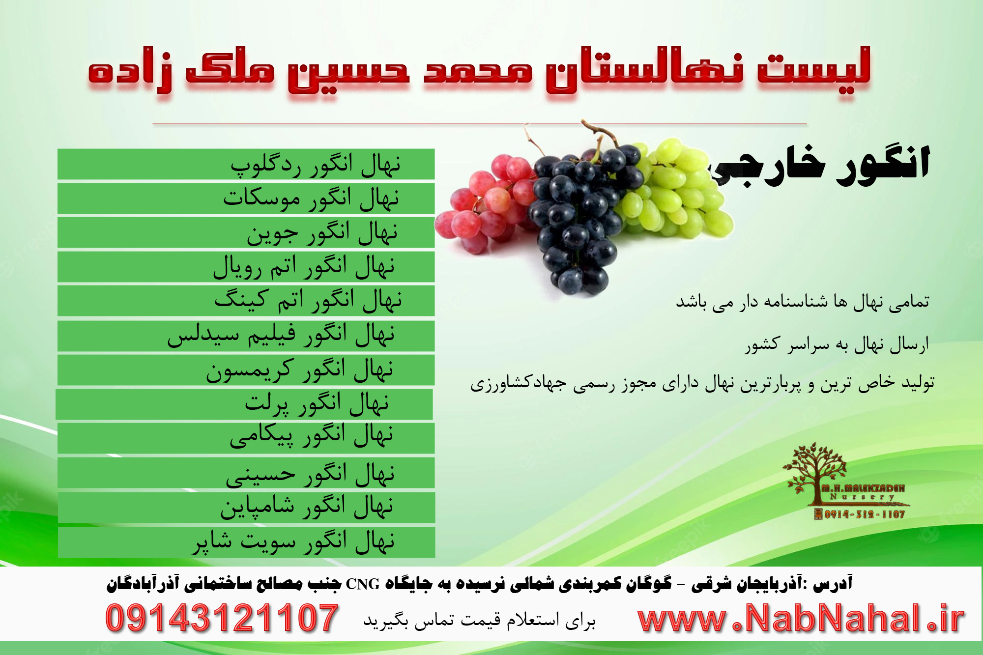 خرید نهال انگور خارجی از نهالستان ملک زاده