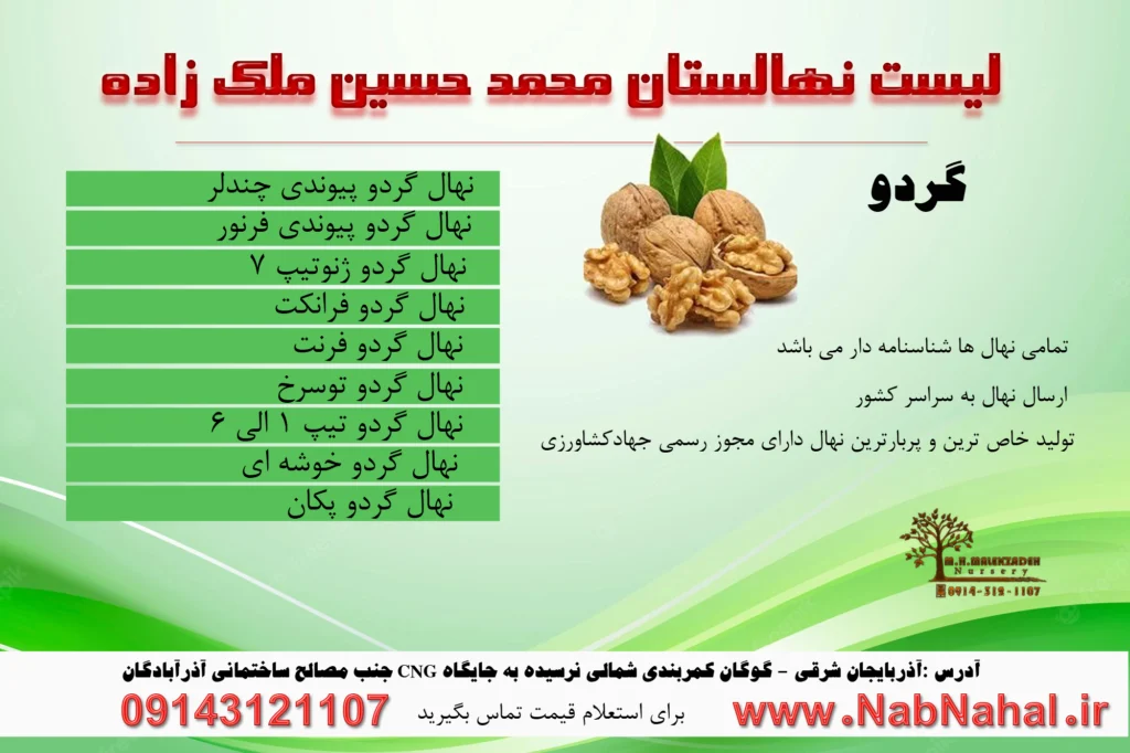 خرید نهال گردو از نهالستان ملک زاده