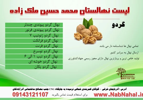خرید نهال گردو از نهالستان ملک زاده