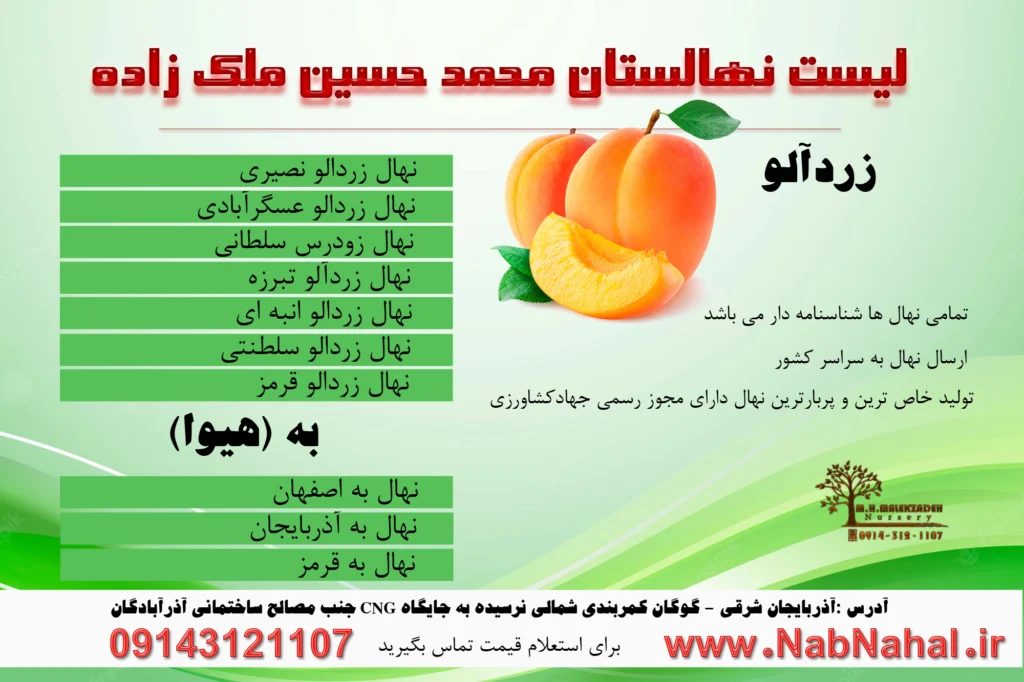 خرید نهال زردالو از نهالستان ملک زاده