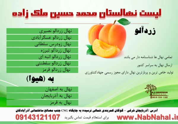 خرید نهال زردالو از نهالستان ملک زاده